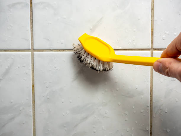 Best Best Mold Removal Companies  in Barrington Hls, IL
