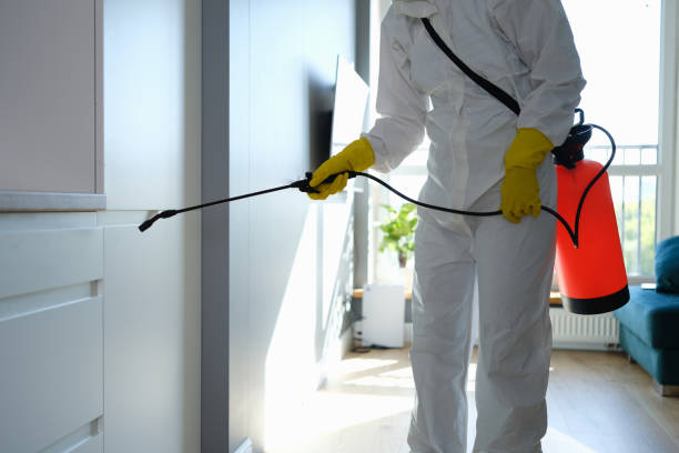 Best Mold Testing  in Barrington Hls, IL